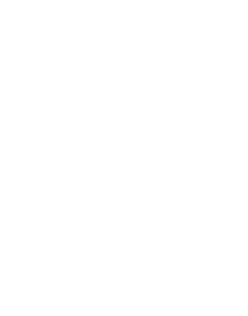 Anonymus - Guy Fawkes mask negativ